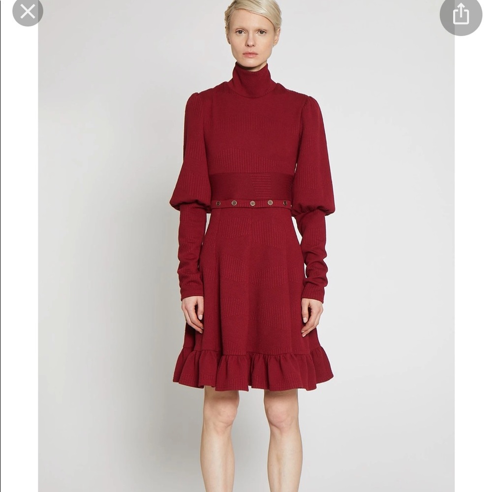 Néw!! Walter baker shonna turtleneck dress